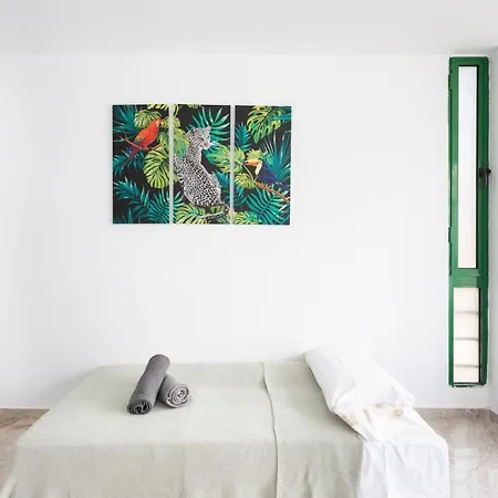 Black Cat Surf House 1 B Affittacamere *
